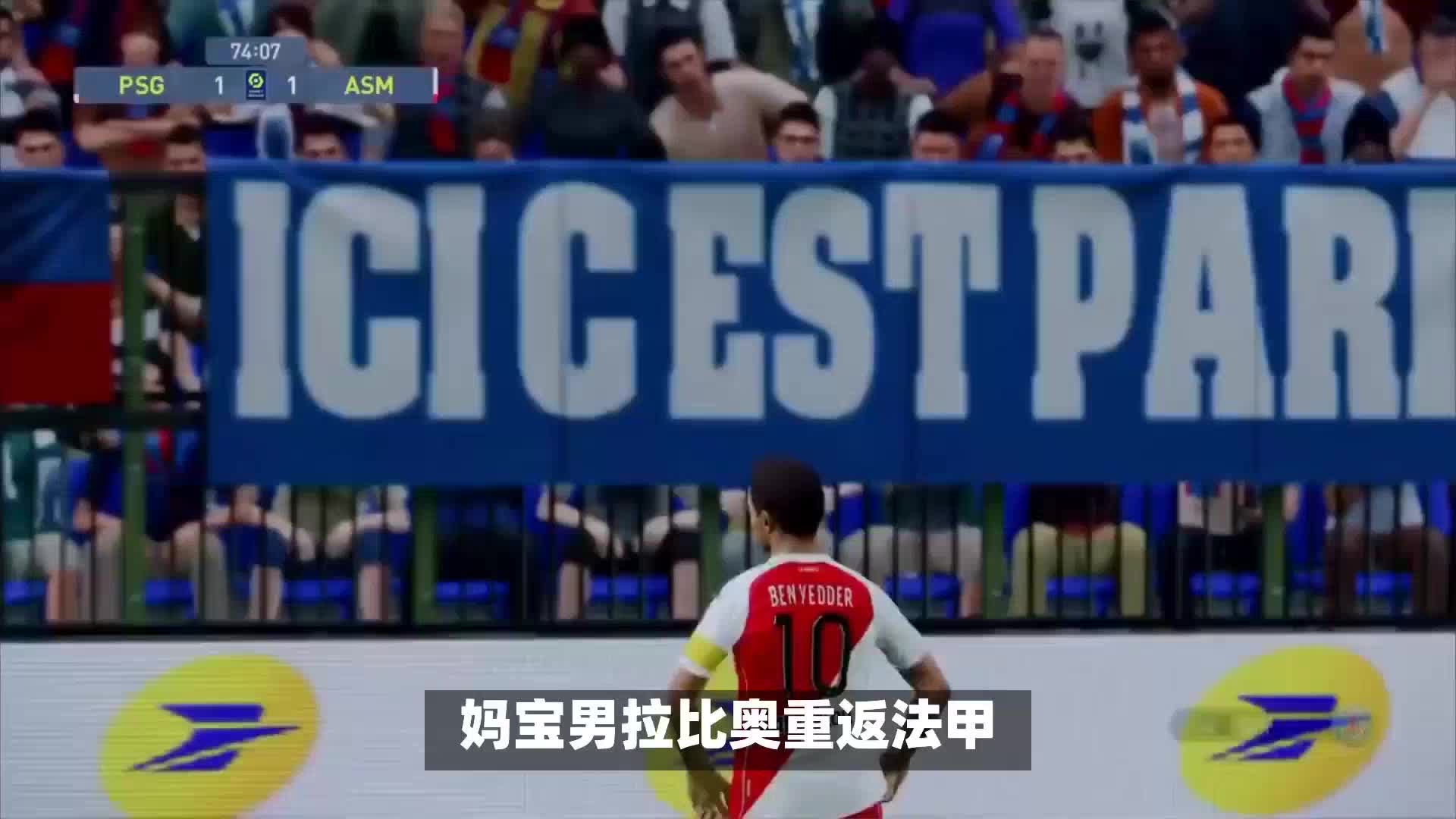 是一条稀