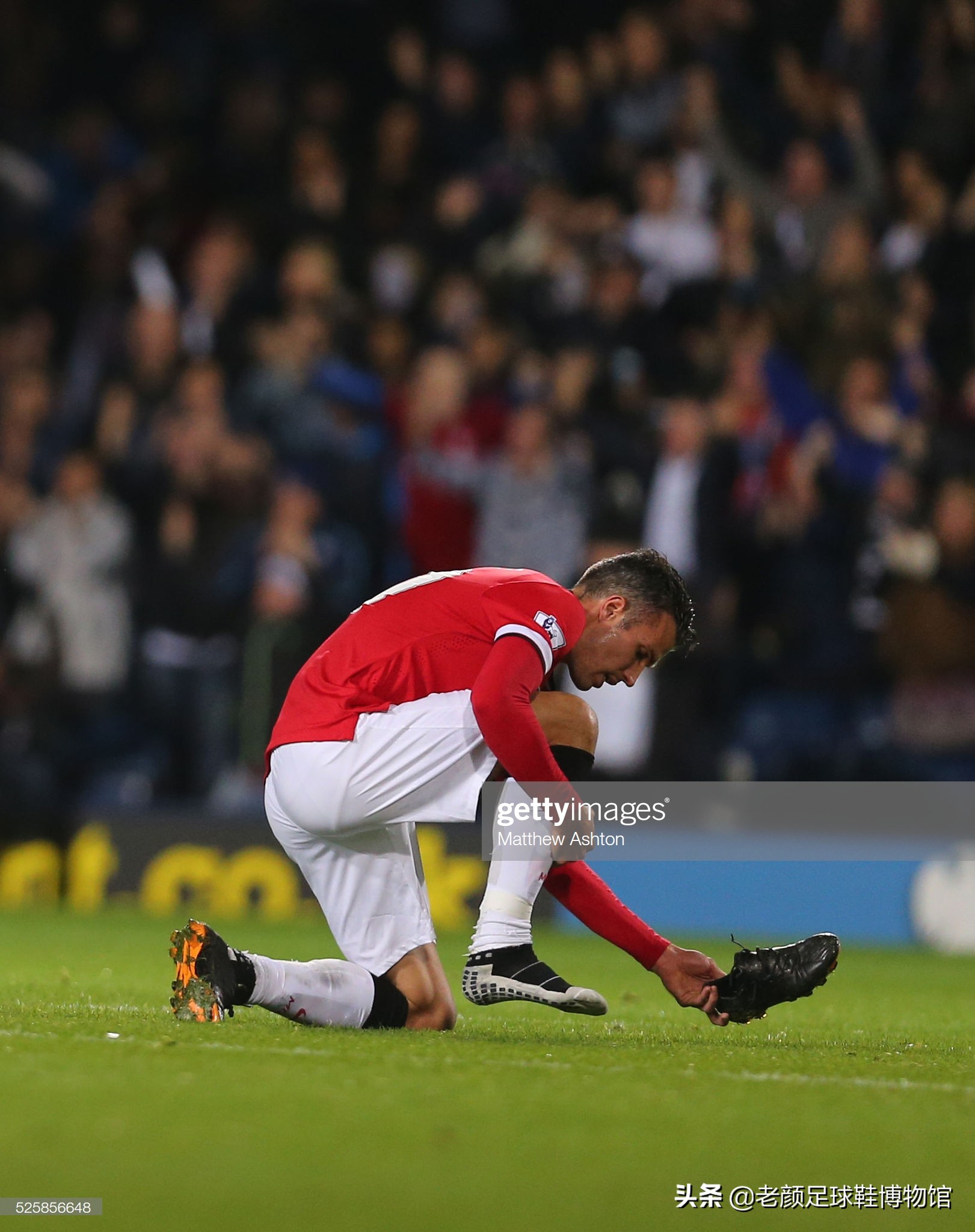 己的优势 己的优势